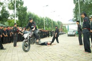 tahta-mataram (48)