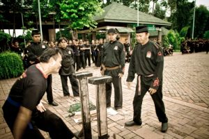 tahta-mataram (52)