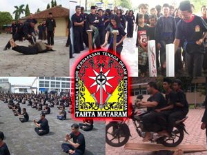 Pakar Ilmu Tenaga Dalam