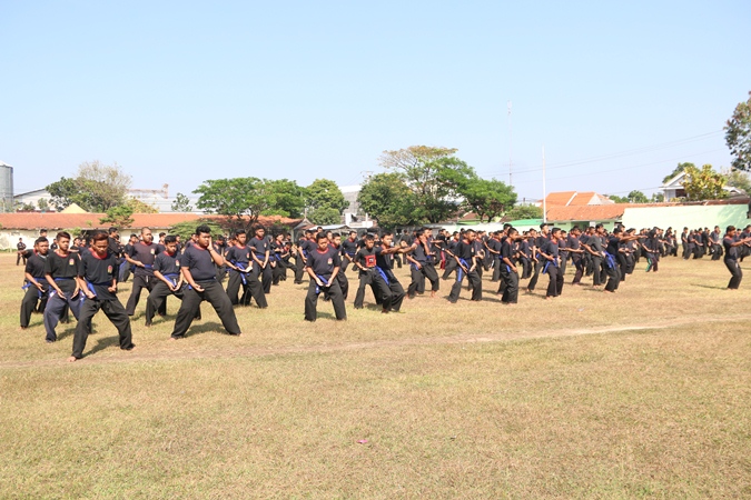 Perguruan Tenaga Dalam di Bojonegoro - Tahta Mataram