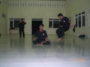 Penggalian Power Tenaga dalam